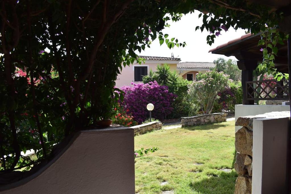 Splendida Villetta Tavolara 4 Vaccileddi Exteriör bild